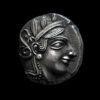 Athena owl