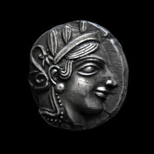 Athena owl